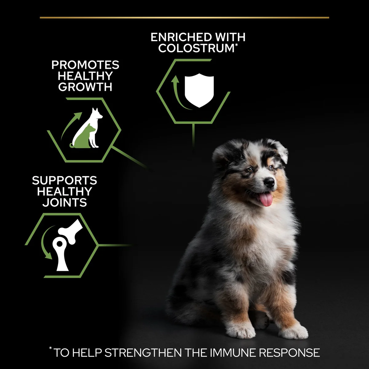 04_9ef212a0-6b36-45fc-9f99-268fe2802043 04_9ef212a0-6b36-45fc-9f99-268fe2802043