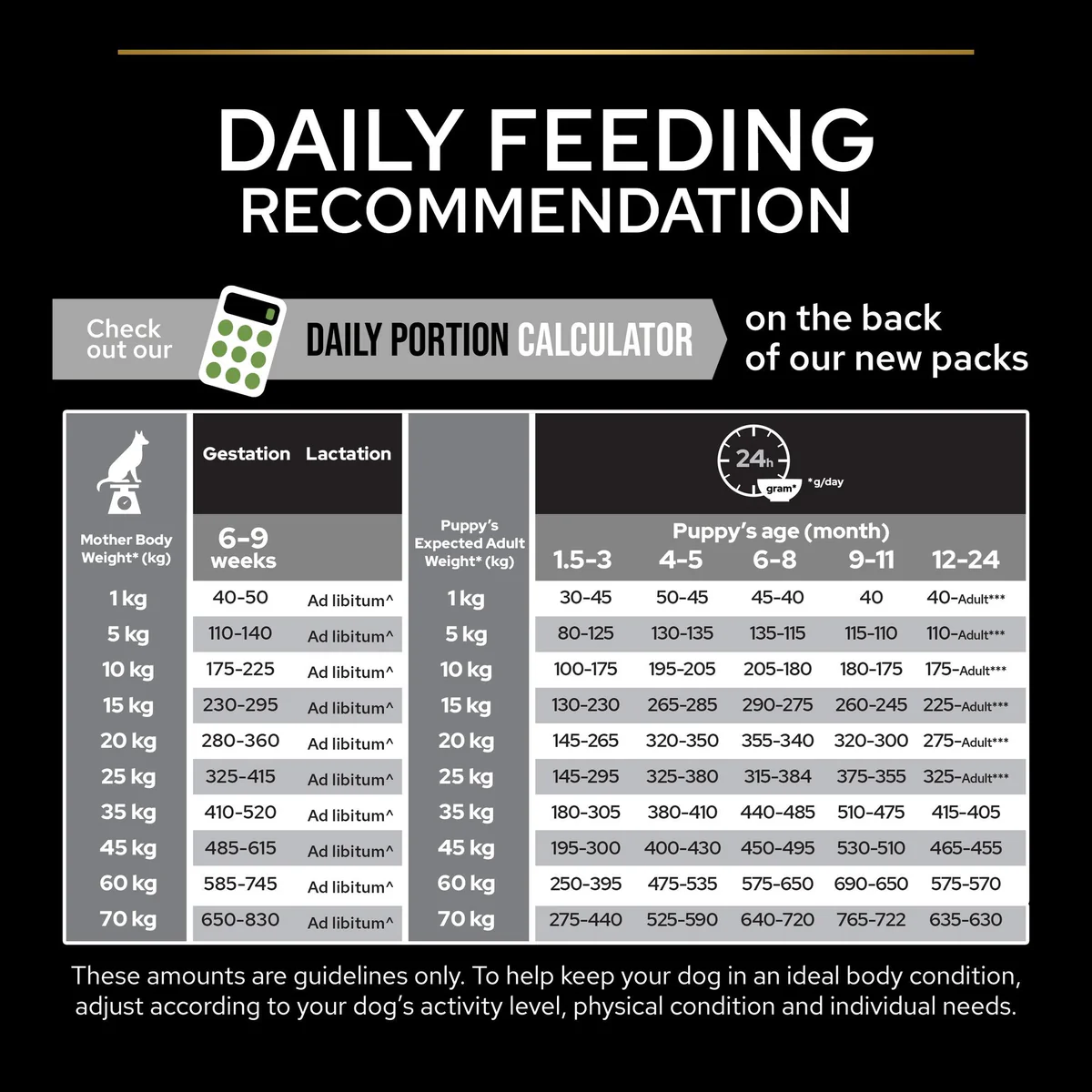 07_839bff6c-4e18-4b7b-9739-3f2c12f6c269 07_839bff6c-4e18-4b7b-9739-3f2c12f6c269