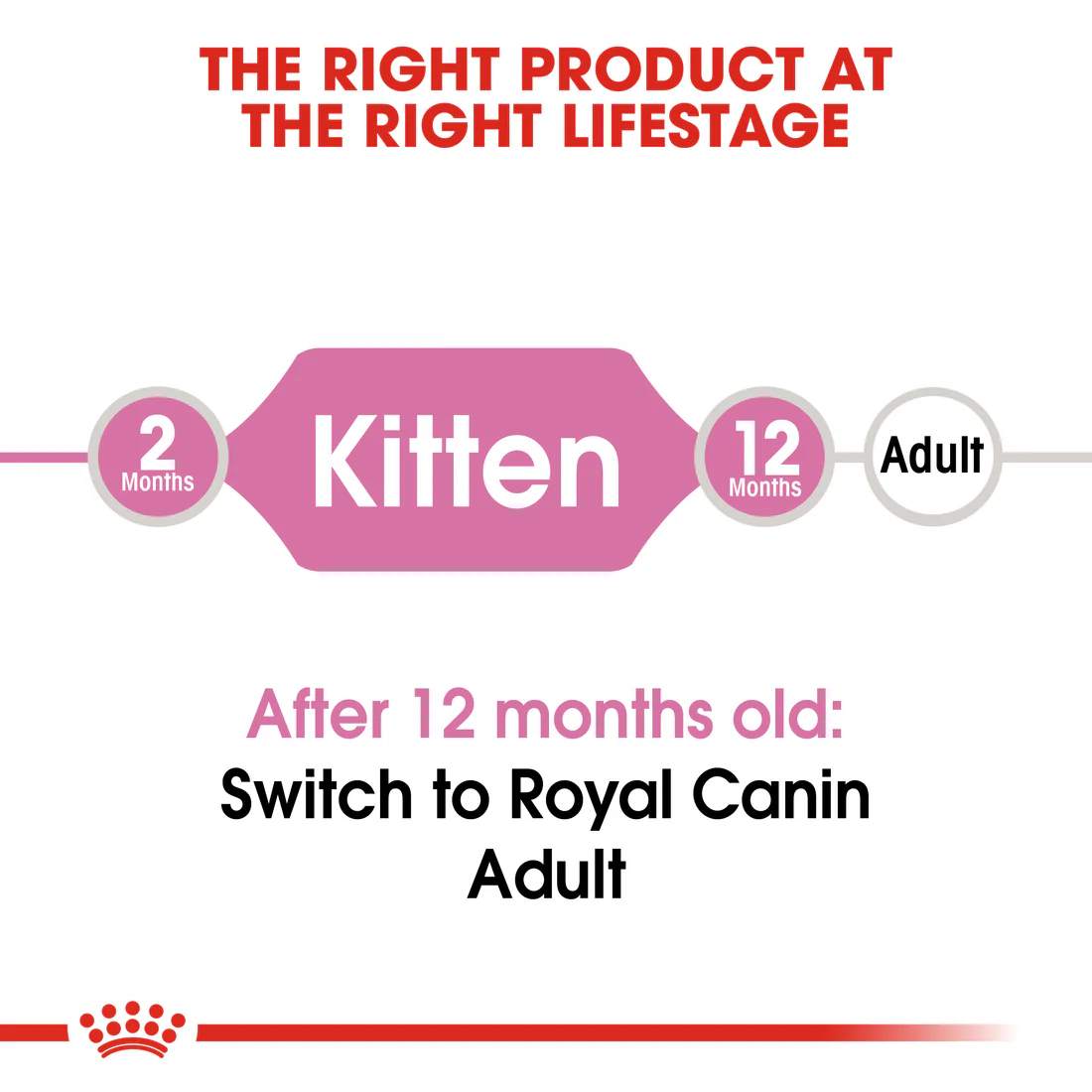 RC-FHN-Kitten-CV-EretailKit-1 RC-FHN-Kitten-CV-EretailKit-1