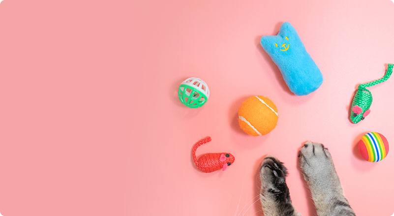 Cat Toys